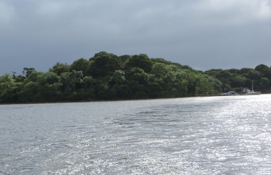 Inchagoill Island