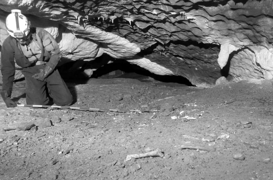 Surveying the Dog's Cave